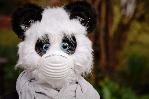 Stay Kasyno Wsparcie